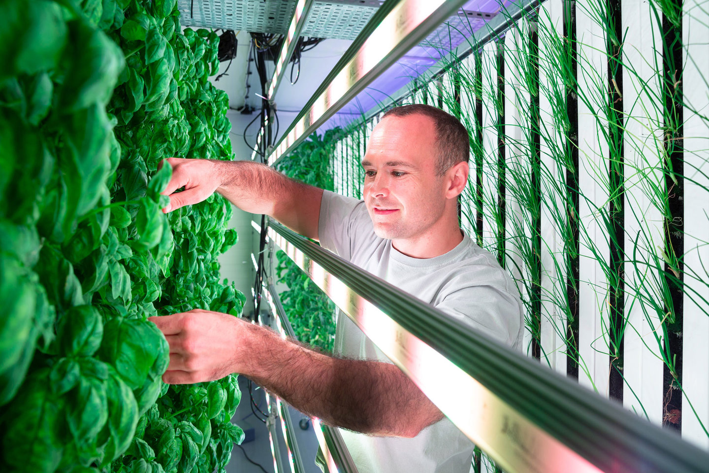 Square Mile Farms: Vertical farming in the office